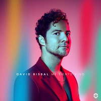 David Bisbal - Tengo Roto El Corazón