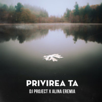 DJ Project & Alina Eremia - Privirea ta