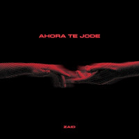 ZAID - AHORA TE J**E