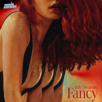 Iuly Neamtu & Manele Mentolate - Fancy