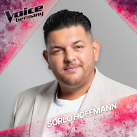 Sorlo Hoffmann & The Voice of Germany - Hinter dem Burnout (aus "The Voice of Germany 2023") [Live]