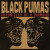 Black Pumas - More Than a Love Song