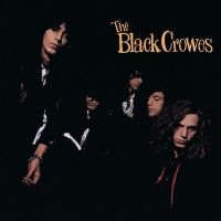 The Black Crowes - Hard To Handle