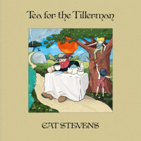 Cat Stevens - If You Want To Sing Out, Sing Out