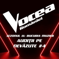Vocea României & Andra Lungu - You Will Never Know (Live)