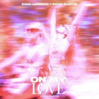 Zara Larsson & David Guetta - On My Love (Acoustic)