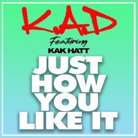 K.A.D & Kak Hatt - Just How You Like It (Main Houdini Edit)