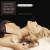 Anastacia & Eros Ramazzotti - I Belong to You (Il Ritmo Della Passione)