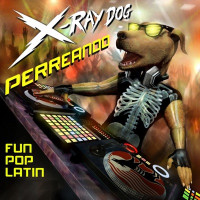 X-Ray Dog - Vai