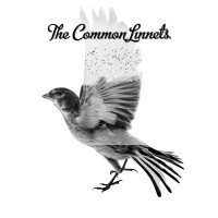 The Common Linnets - Calm After the Storm