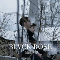 MSMV - Rose