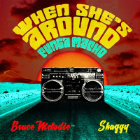 Bruce Melodie & Shaggy - When She's Around (Funga Macho)