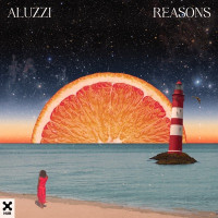 Aluzzi - Reasons