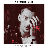 Antoine Elie - La rose et l'armure