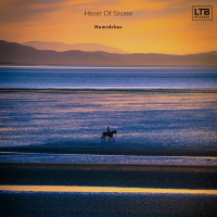 Hamidshax - Heart of Stone