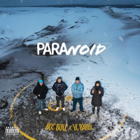Roc Boyz & VC Barre - Paranoid