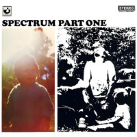 Spectrum - I’ll Be Gone (Single Edit)