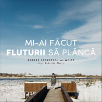 Robert Georgescu & White - Mi-ai făcut fluturii să plângă (feat. Gabriela Marin)