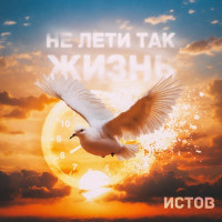 Истов - Не лети так жизнь