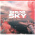 Newera - Birds In The Sky