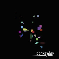 Donkeyboy - Crazy Something Normal