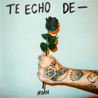 Noan - Te echo de -