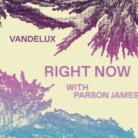 Vandelux & Parson James - Right Now (With Parson James)