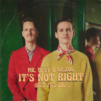 Mr Belt & Wezol - It's Not Right (But It's Ok)