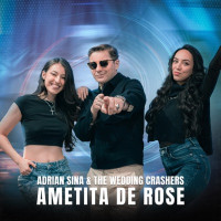 Adrian Sina & The Wedding Crashers - Ametita de rose