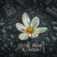 Basta, MONA, Три дня дождя & Vladimir Presnyakov Jr. - Луч солнца золотого