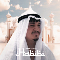 Bogdan DLP - Habibi