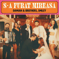 Damian & Brothers & Smiley - S-a furat mireasa