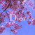 Avxry - Christian Dior