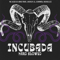 MC LUIS DO GRAU - Incubada Hard Slowed (feat. launch 13, Djsamir & rodriccii)