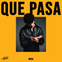 Mida - QUE PASA