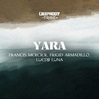 Francis Mercier, Frigid Armadillo & Luedji Luna - Yara