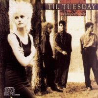 'Til Tuesday - What About Love