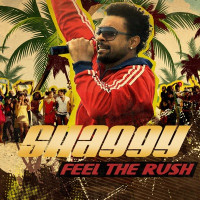 Shaggy - Feel the Rush (Radio Edit)
