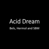 Cherrymoon Traxx - Acid Dream (feat. Hermol & SBM) [The Prophet Remix]