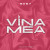 Ruby - Vina mea (Acoustic Version)