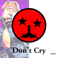 pekkon - Don't Cry