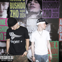 Aarne & BUSHIDO ZHO - SOS