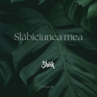 Jador & Sheik - Slăbiciunea mea