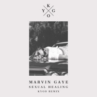 Kygo & Marvin Gaye - Sexual Healing (Kygo Remix)