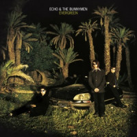 Echo & The Bunnymen - Nothing Lasts Forever