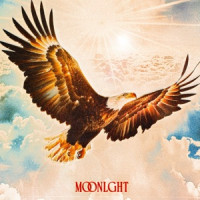 MOONLGHT - Free Bird