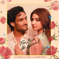 Josh Brar - Tere Bina Na Guzara E (feat. Kinza Hashmi)