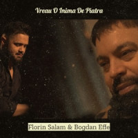 Florin salam & Bogdan Effe - Vreau O Inima De Piatra