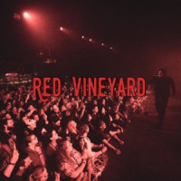 Diggy Graves - Red Vineyard