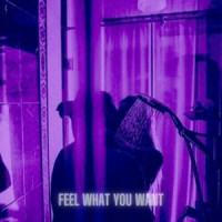 Purpeel - Feel What You Want